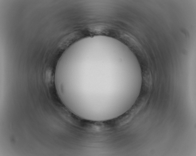 X0000113740420200910141008