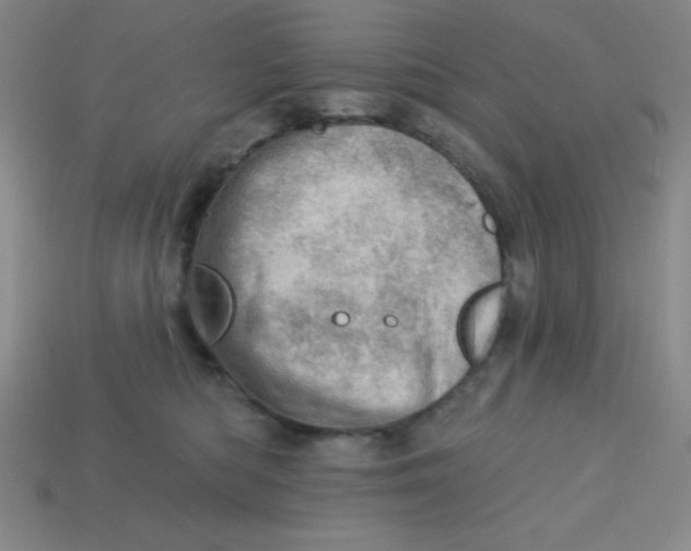 X0000113740422200910141008