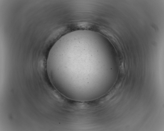 X0000113740424200910141008