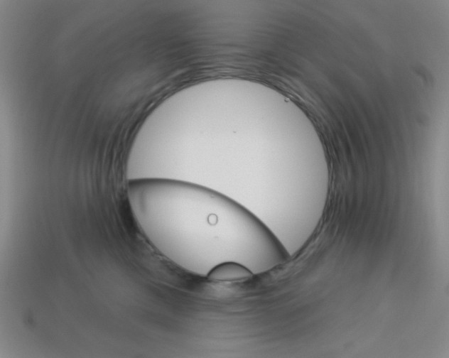 X0000113740425200910141008