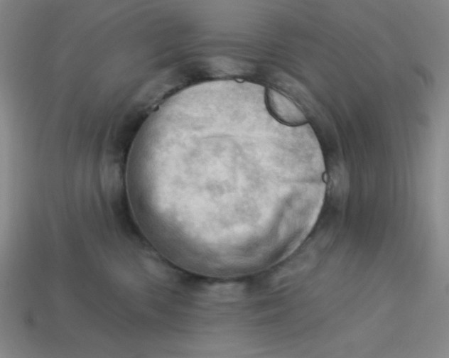 X0000113740426200910141008