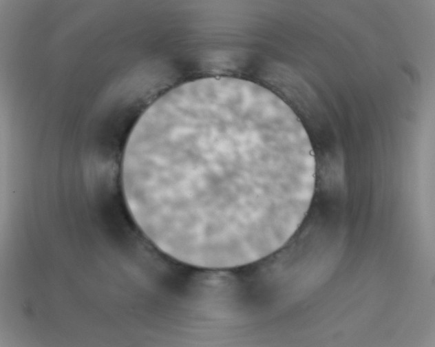 X0000113740427200910141008