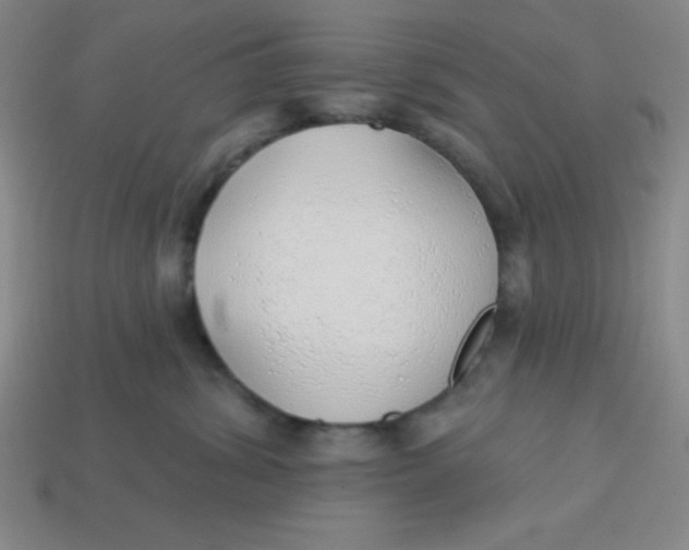 X0000113740428200910141008