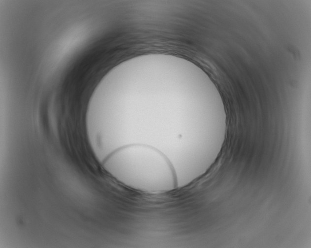 X0000113740429200910141008