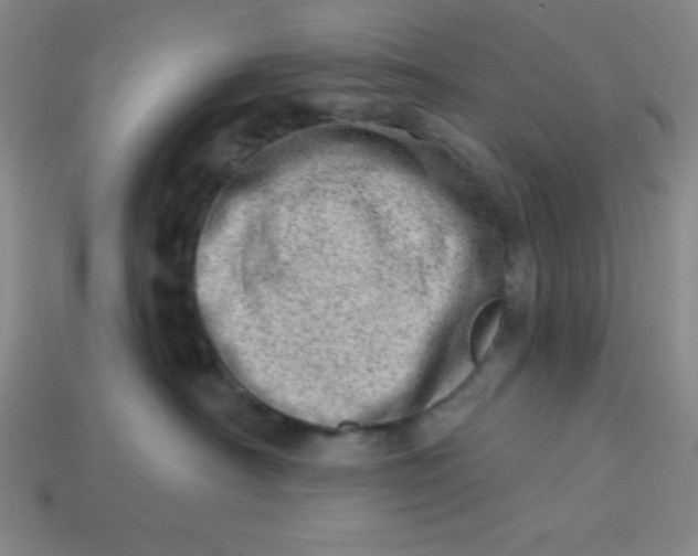 X0000113740430200910141008