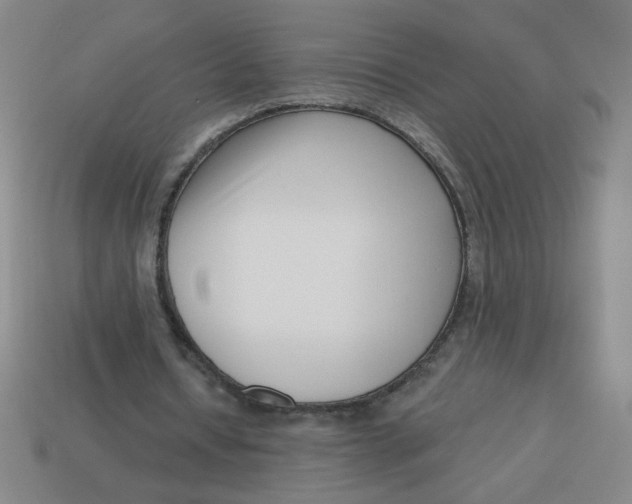 X0000113740434200910141007