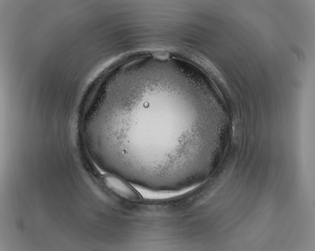 X0000113740436200910141007