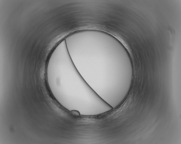 X0000113740437200910141007