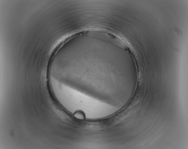 X0000113740438200910141007