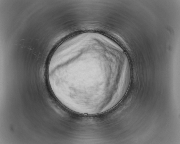 X0000113740439200910141007