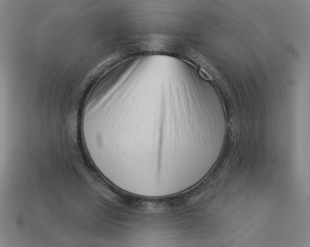 X0000113740442200910141007