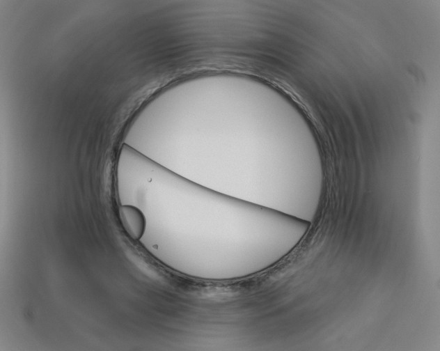 X0000113740445200910141007