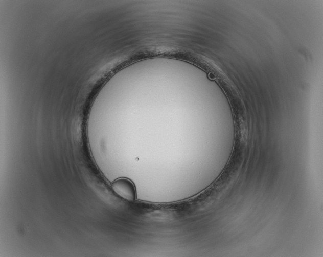 X0000113740447200910141007