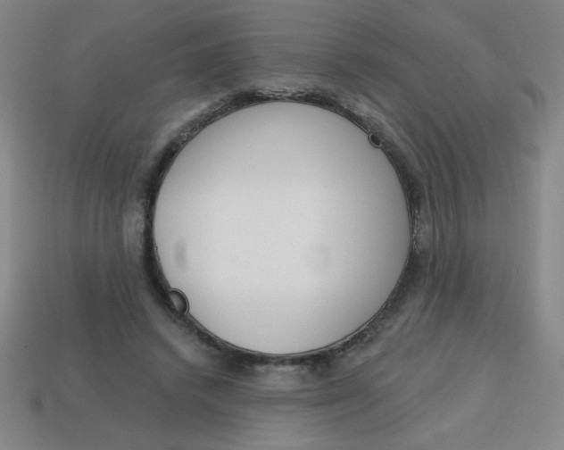 X0000113740448200910141007