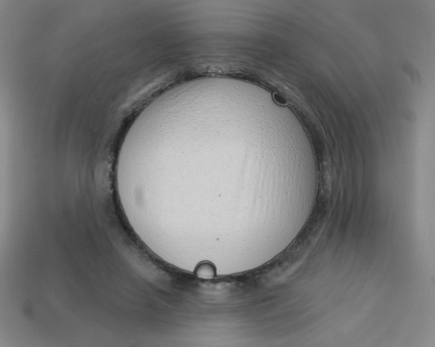 X0000113740450200910141007