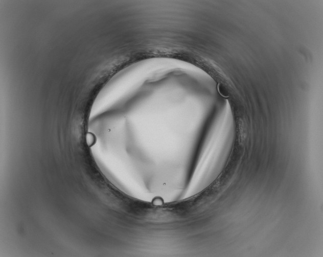 X0000113740451200910141007