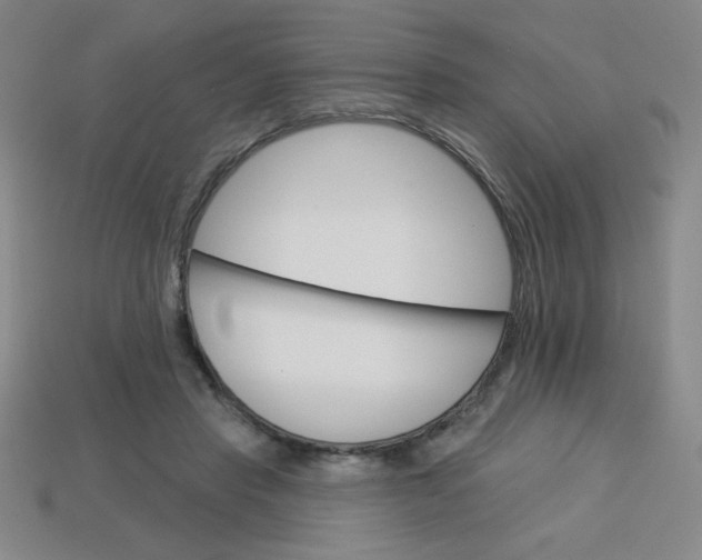 X0000113740453200910141007