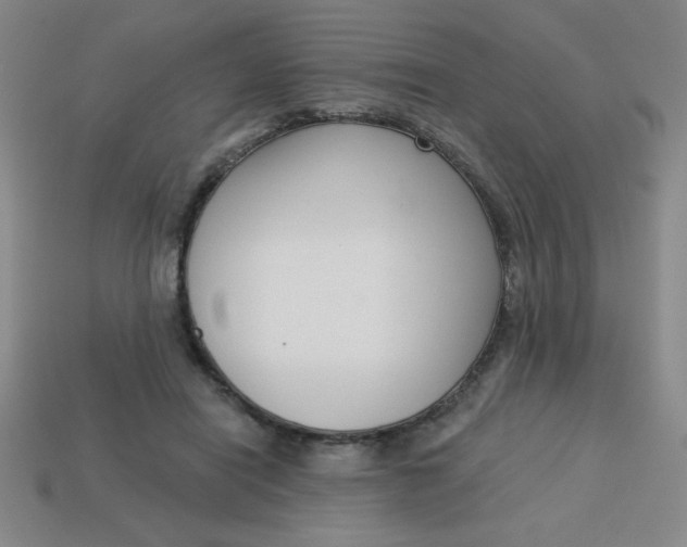 X0000113740454200910141007