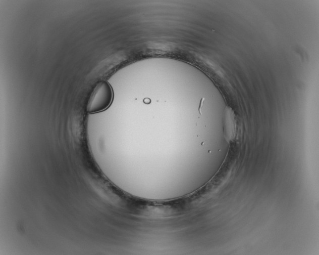 X0000113740455200910141007