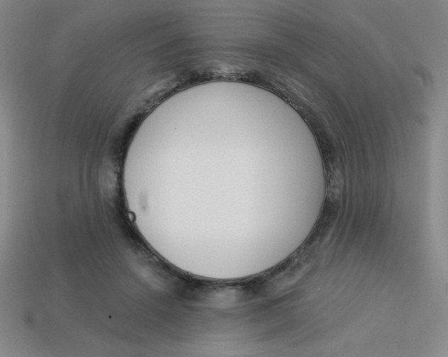 X0000113740456200910141007