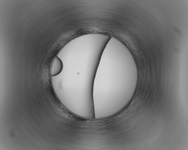 X0000113740457200910141007