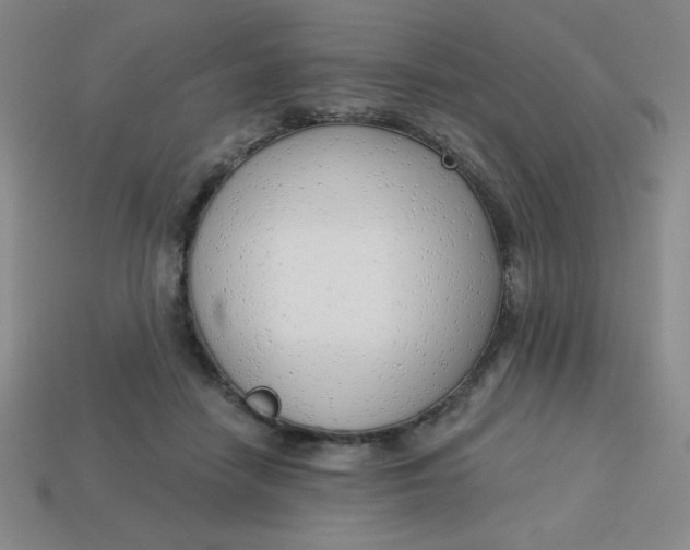 X0000113740458200910141007