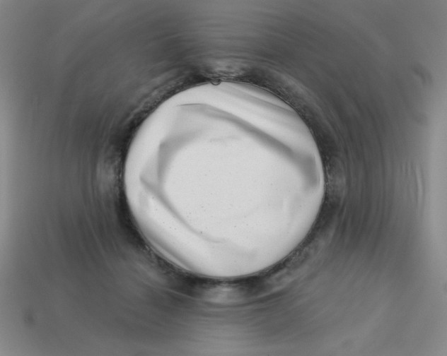 X0000113740460200910141007