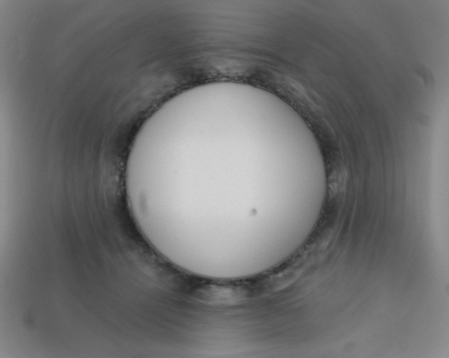 X0000113740464200910141007