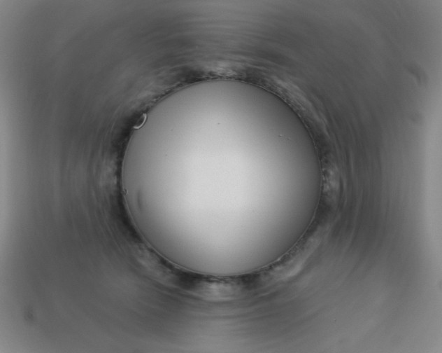 X0000113740466200910141007