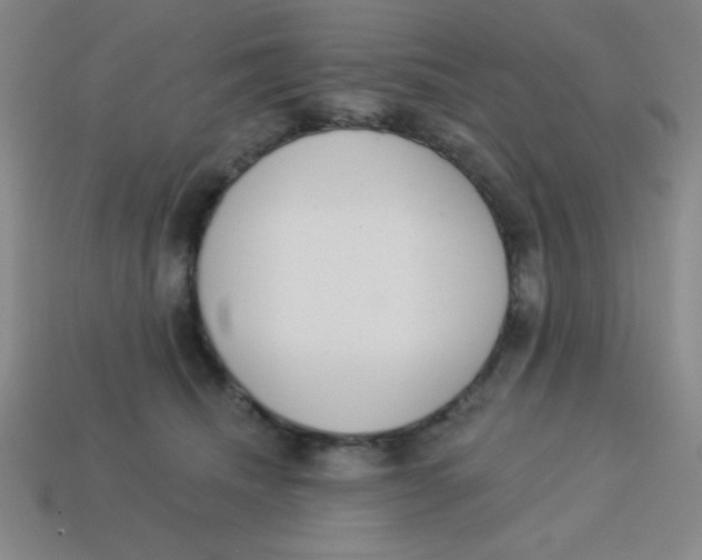 X0000113740468200910141007