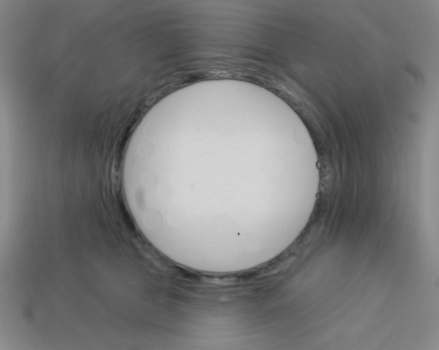 X0000113740469200910141007