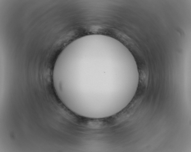 X0000113740470200910141007