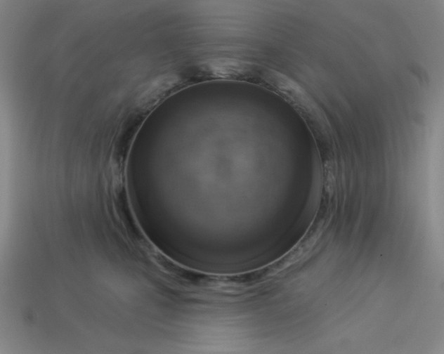 X0000113740471200910141007