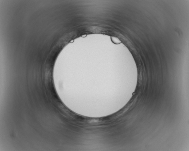 X0000113740473200910141007