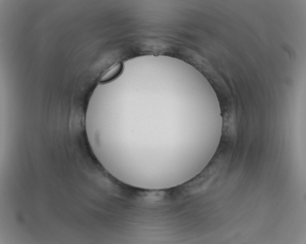 X0000113740474200910141007