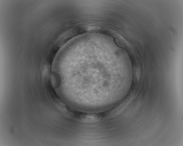 X0000113740475200910141007