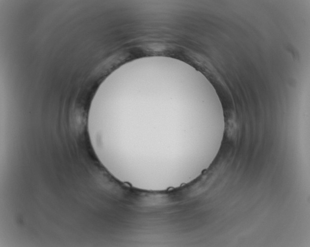 X0000113740476200910141007