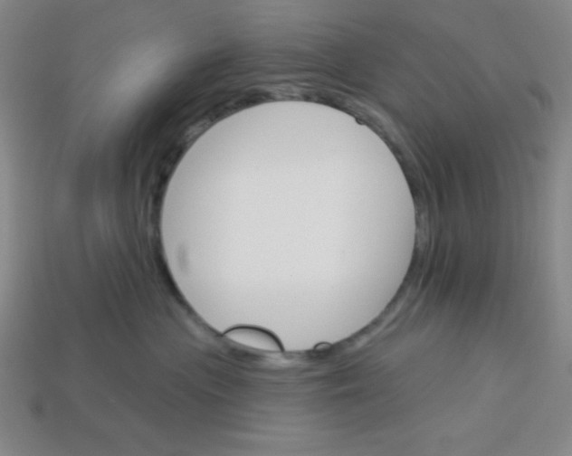 X0000113740477200910141007