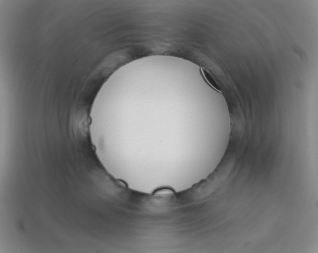 X0000113740479200910141008