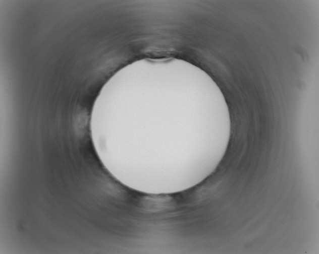 X0000113740480200910141008