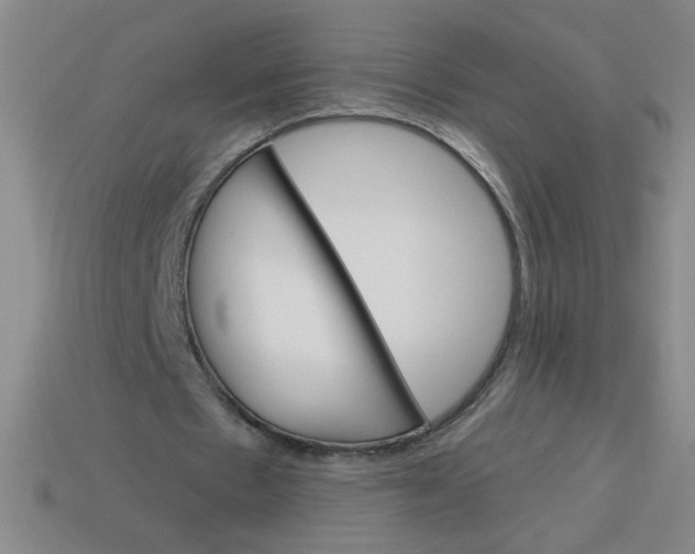 X0000113740481200910141007