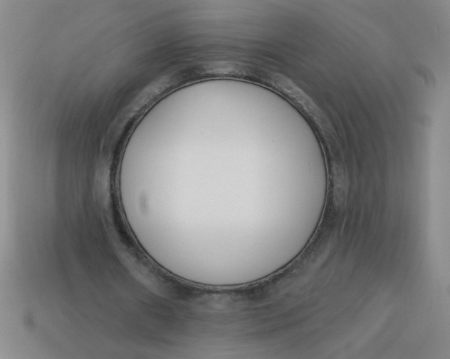 X0000113740482200910141007