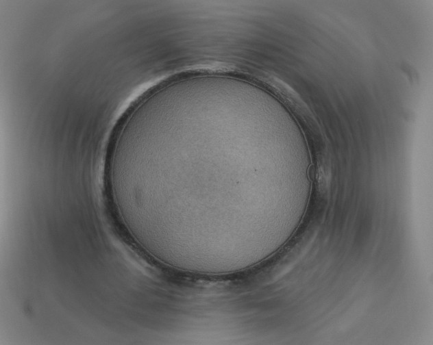 X0000113740484200910141007