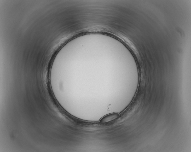 X0000113740485200910141007