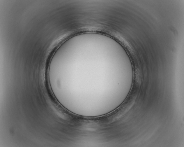 X0000113740486200910141007