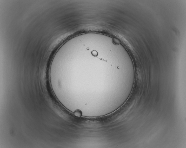 X0000113740487200910141007