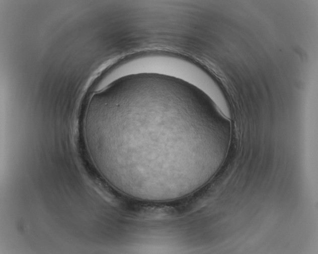 X0000113740488200910141007