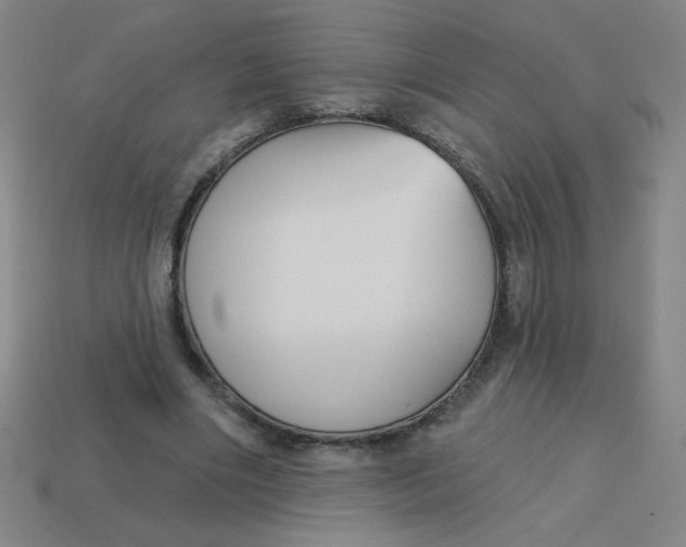 X0000113740490200910141007