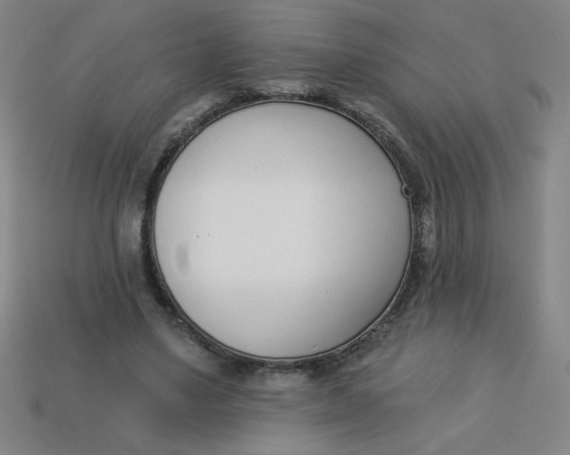 X0000113740491200910141007