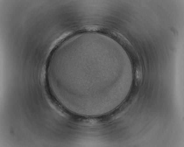 X0000113740492200910141007